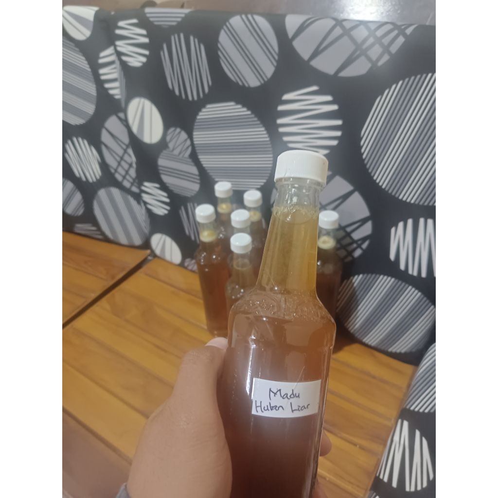 Madu Hutan Liar Asli 100%