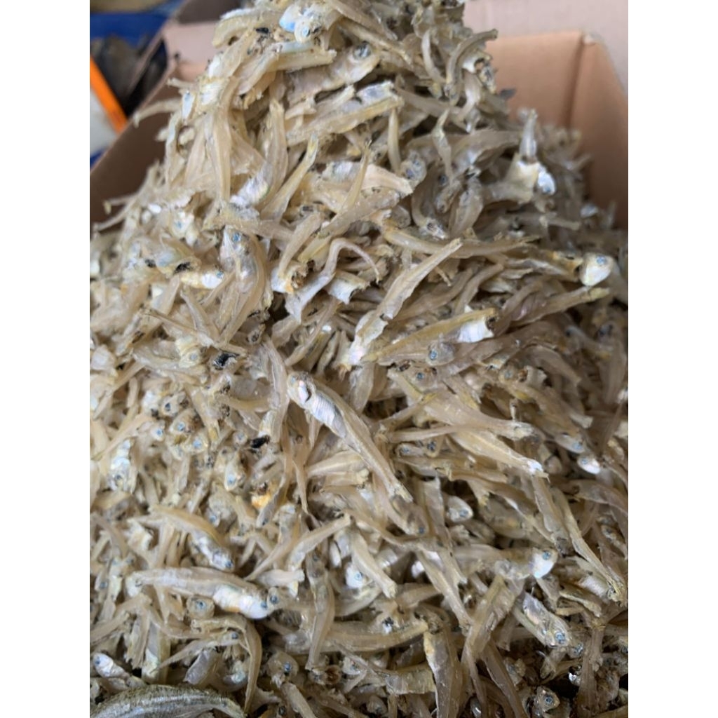 IKAN TERI GEPENG / TERI PETO