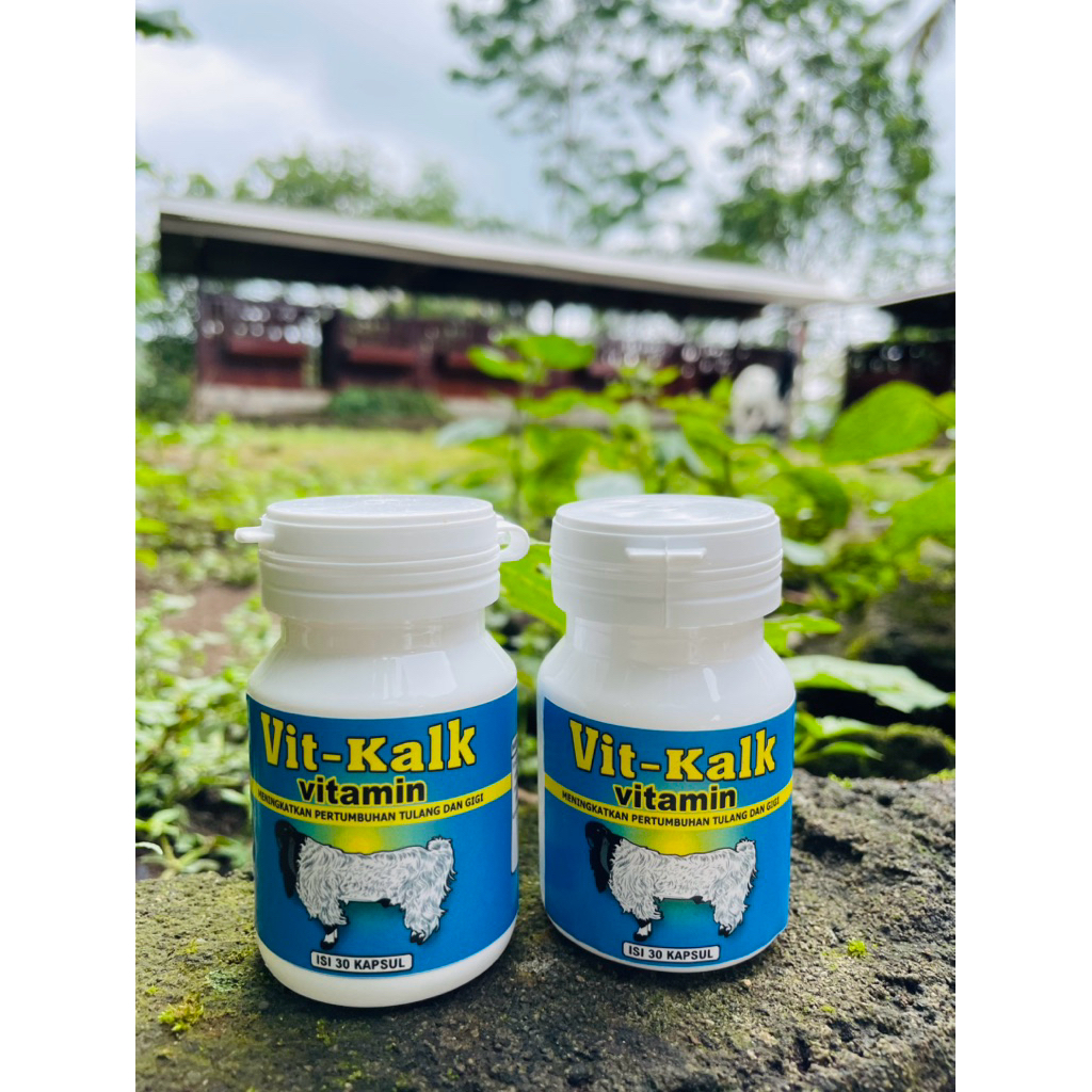 suplemen pertumbuhan Tulang dan gigi kambing