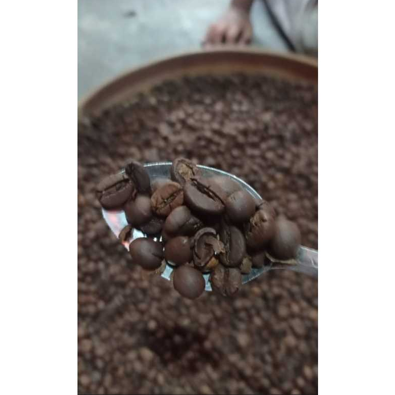 Kopi Nangka - Excelsa/Liberika