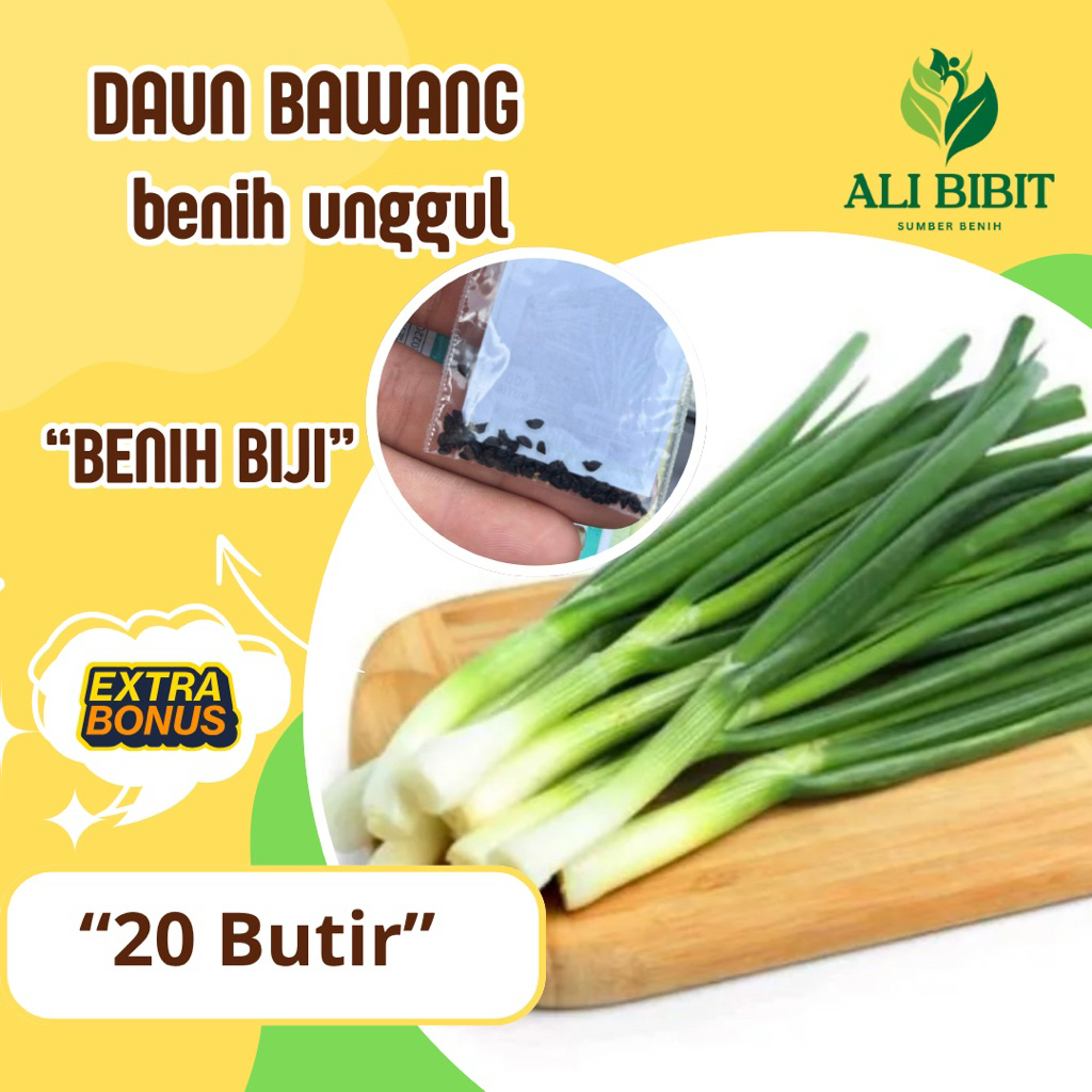20 Butir > Benih Biji Daun Bawang> Bibit Daun Bawang>Bonus Benih