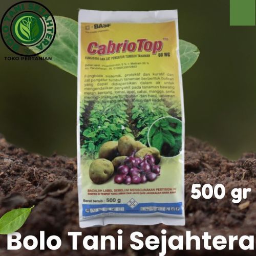 Cabrio Top 60 Wg 500gr Fungisida Sistemik