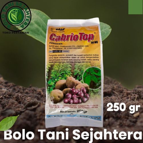 CABRIO TOP 60 WG 250gr fungisida