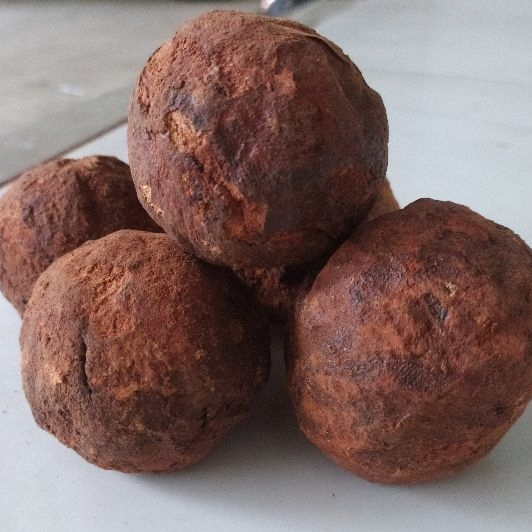 Getah Gambir Medan Gambir Maha Bunga Ukuran Besar Untuk Makan Sirih Demban