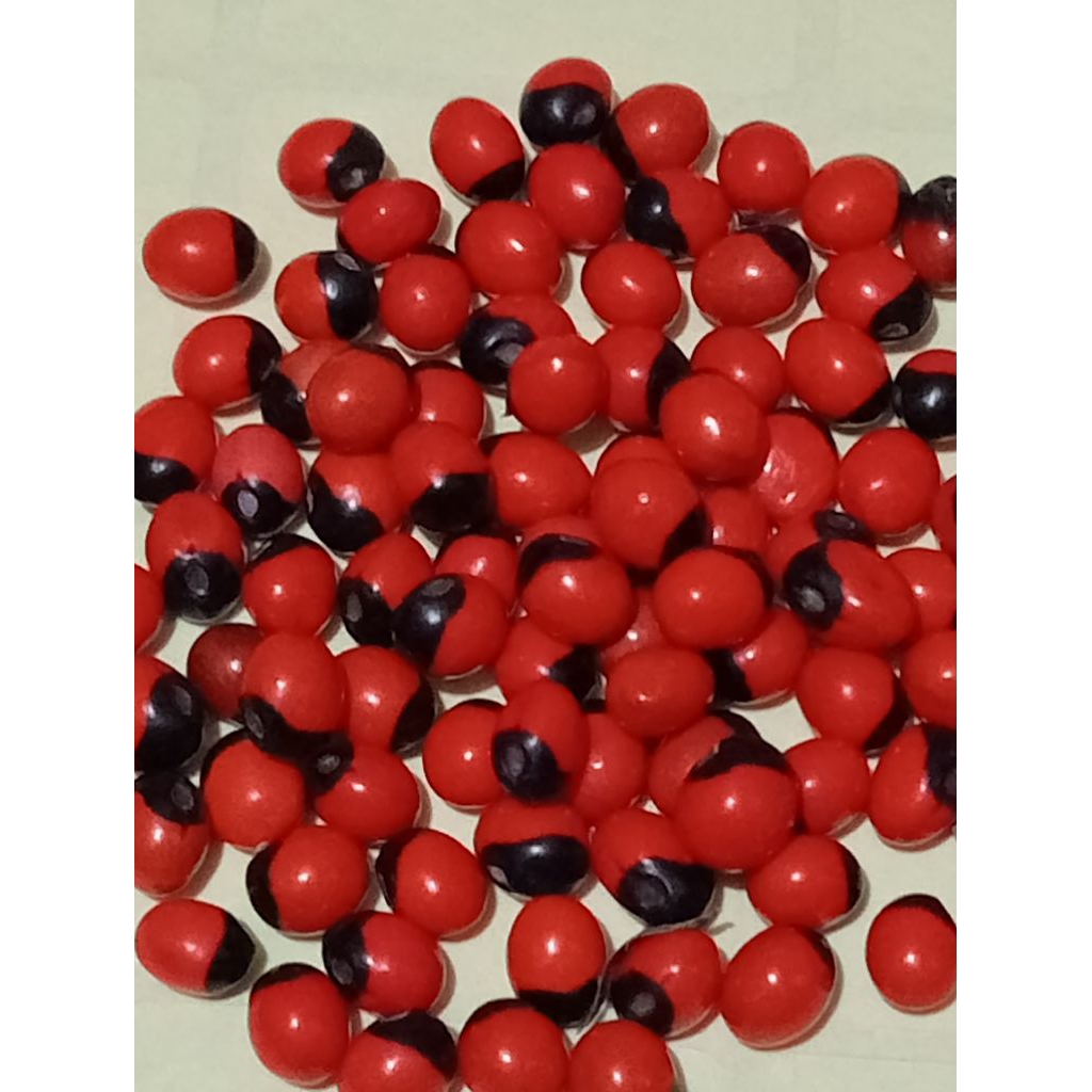 220 Butir (25 gram) Biji saga sogok tunteng Saga Rambat