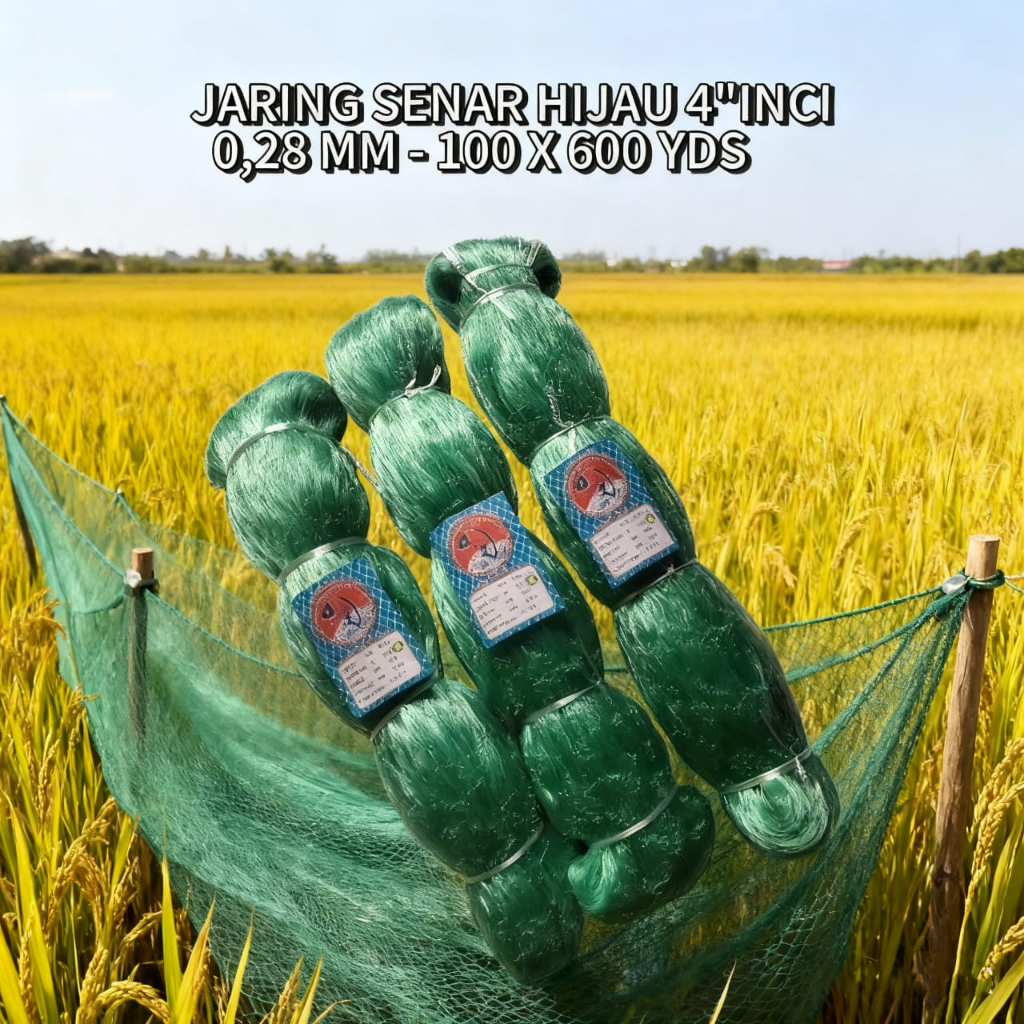 JARING IKAN HIJAU SENAR  0,28MM 0,30MM 0,35MM - 4 INCI 100MDX600YDS TATE - JARING IKAN | Fishing Lin