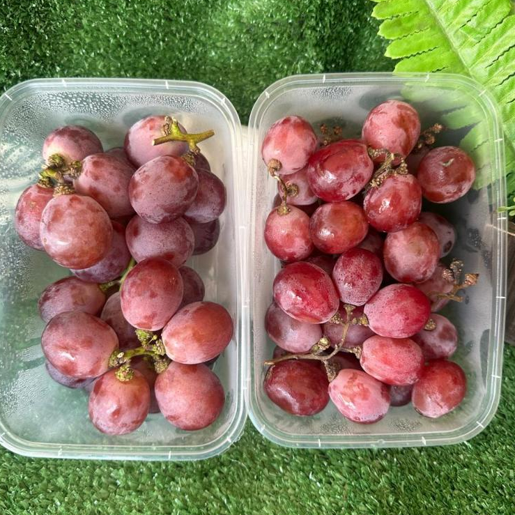 Anggur Merah RRC 500gr – Buah Segar dan Lezat Siap Santap