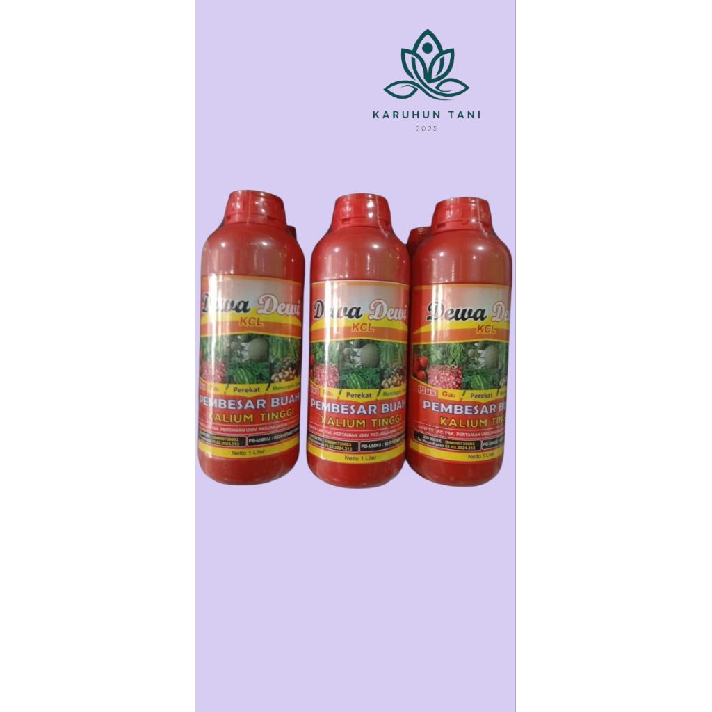 Pupuk Cair KCL Dewa Dewi 1 Liter
