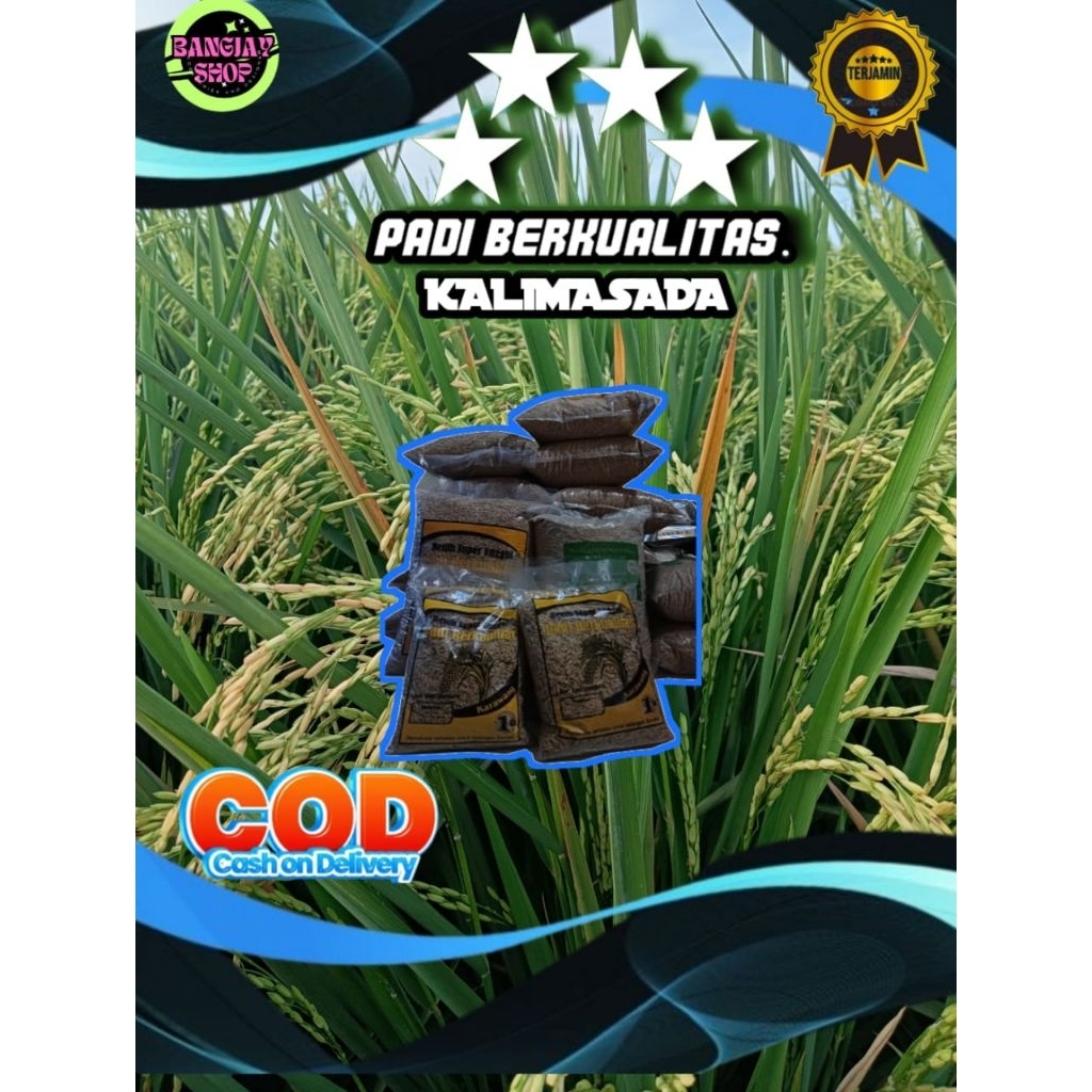 (COD) Benih bibit padi KALIMASADA Kemasan 5kg