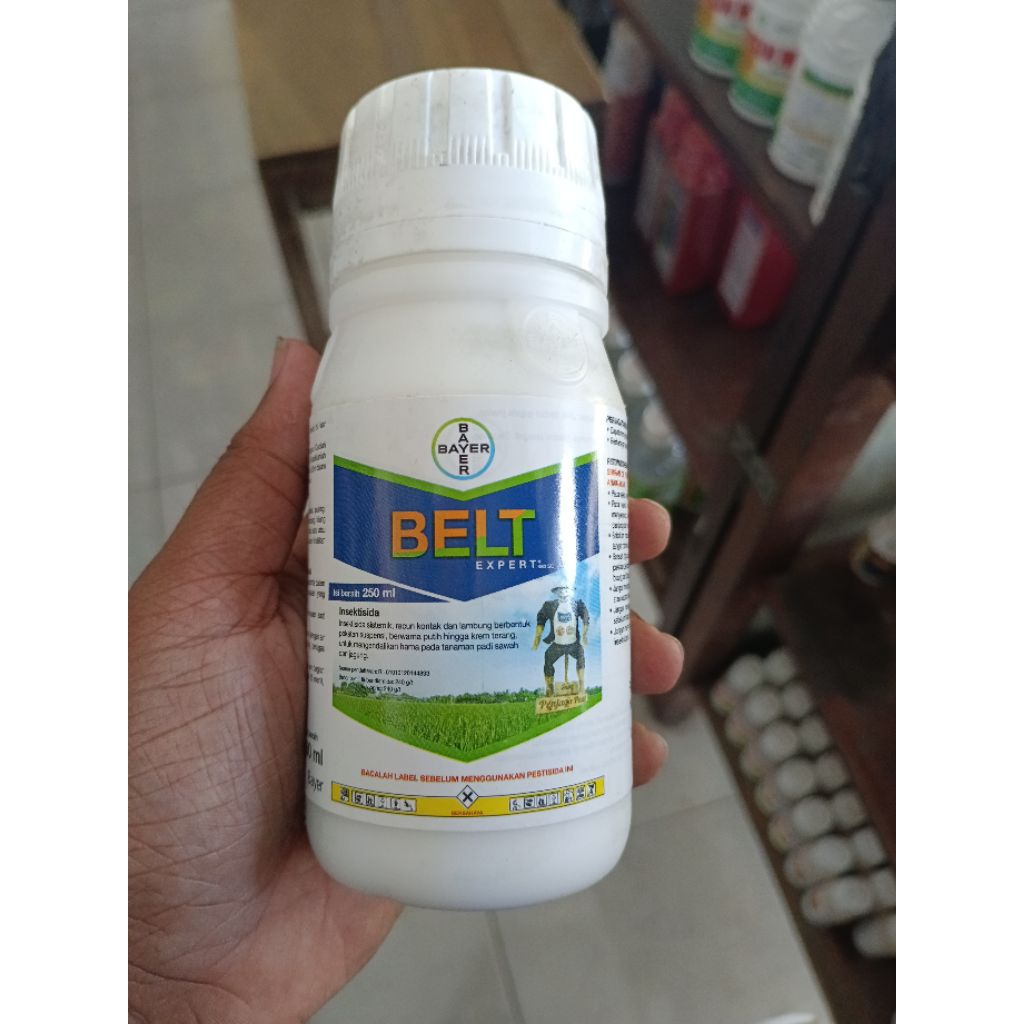 INSEKTISIDA BELT EXPERT 480 SC 250 ML | Ahlinya Basmi Sundep, Beluk, dan Ulat Grayak Padi | Bahan Ak