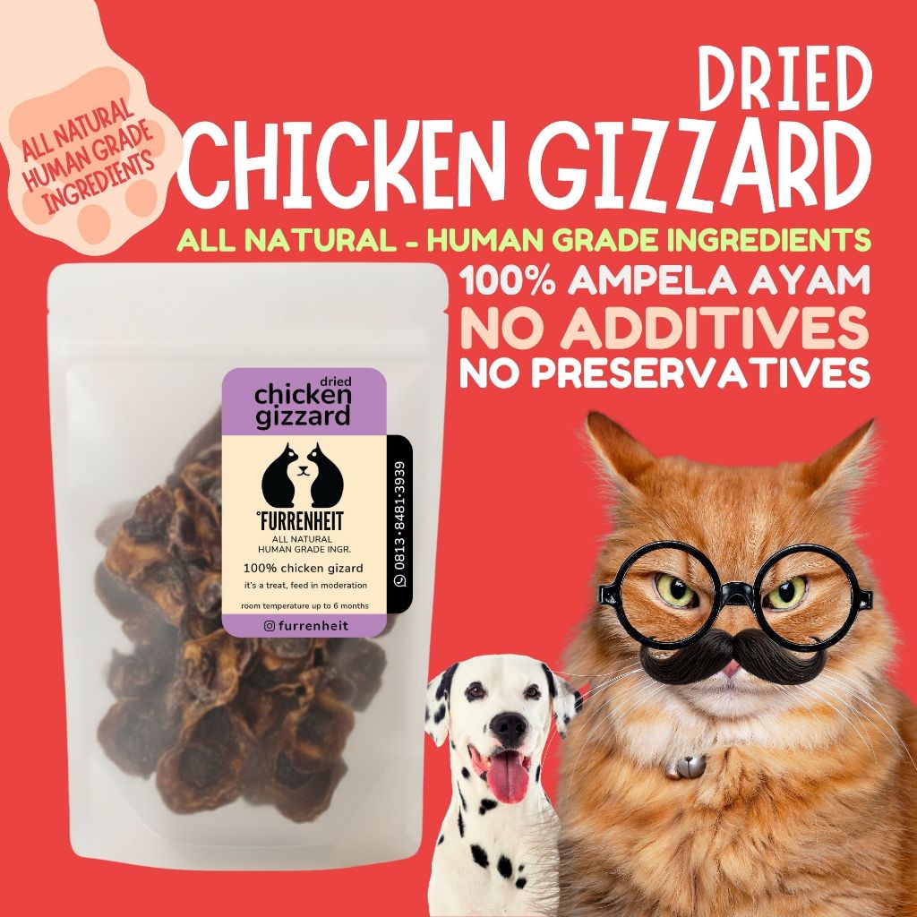[FURRENHEIT] DRIED CHICKEN GIZZARD (20g/50g) AMPELA AYAM AMPELA KERING | DEHYDRATED CHICKEN GIZZARD 