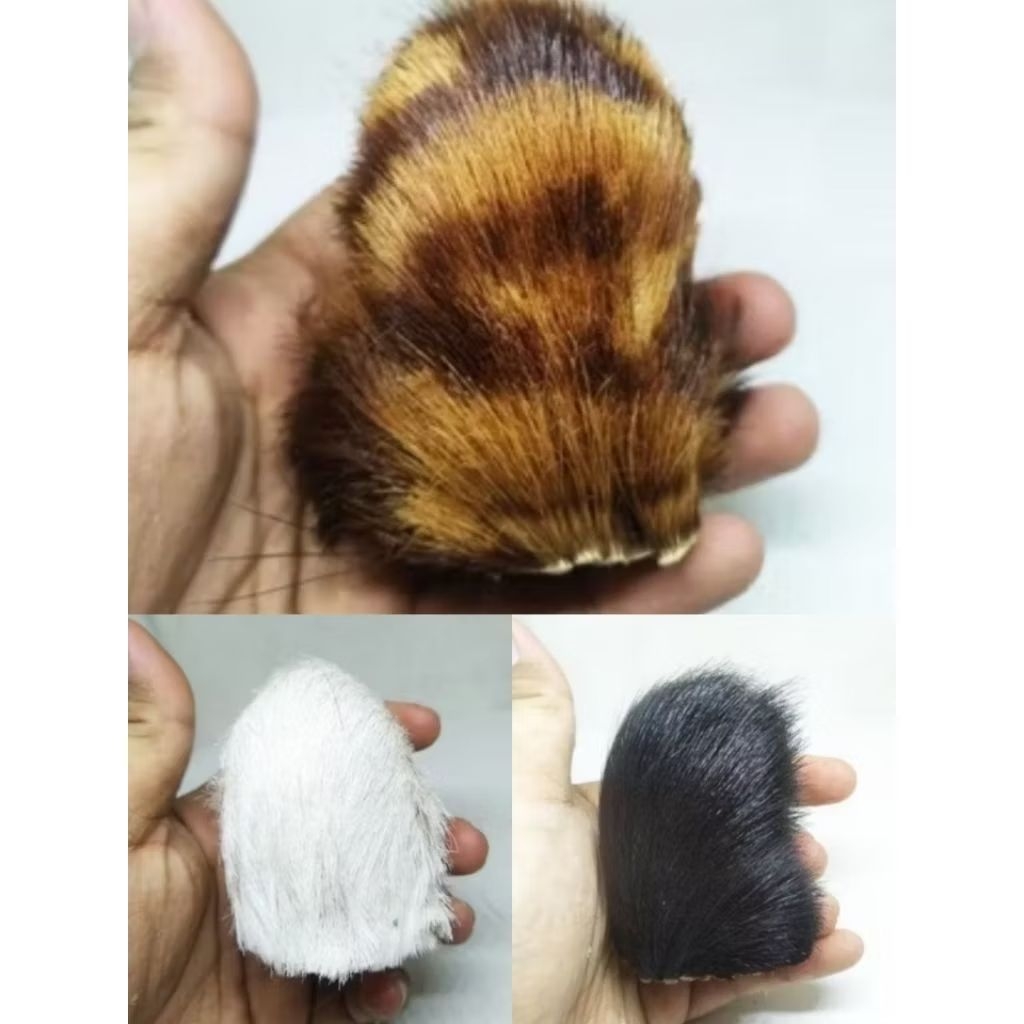 kantong macan loreng hitam putih kantong kulit