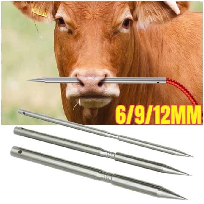 Jarum Keluh Sapi Tindik Keluh Sapi Stainless Steel