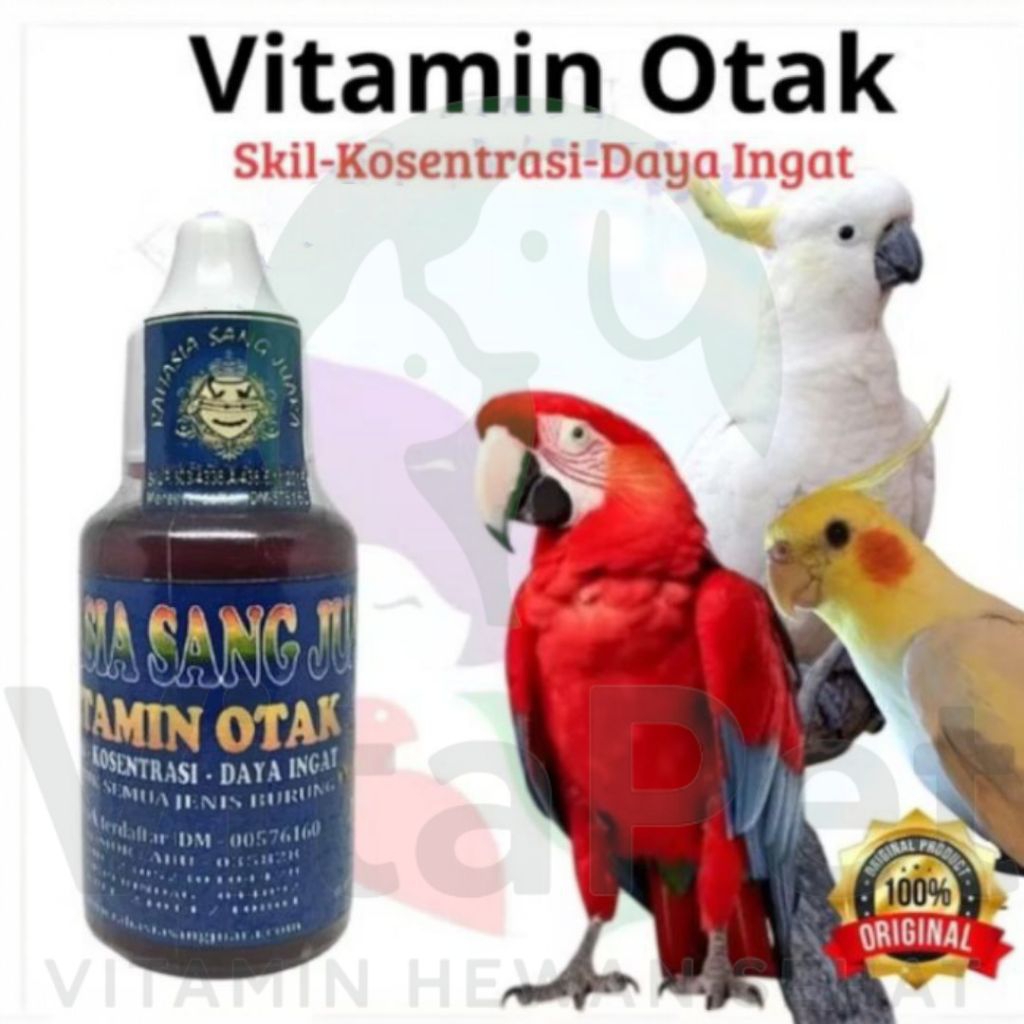 Vitamin Otak Burung Isi 30 Mil Meningkatkan Skil Konsentrasi Daya Ingat serta Kecerdasan