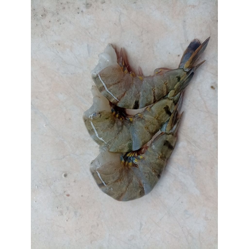 Udang pancet segar tanpa kepala 1kg