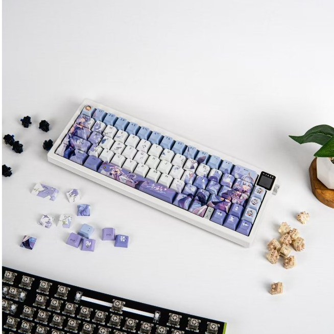 Genshin Robin PBT Keycaps Cherry Profile  Front/Side Print