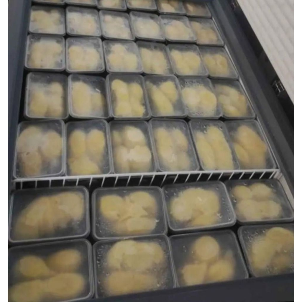 Durian Montong Palu | Durian Montong Manis Legit