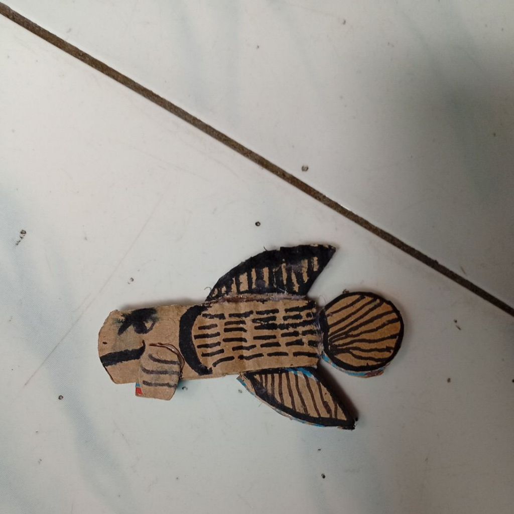 ikan chana limbata gachua