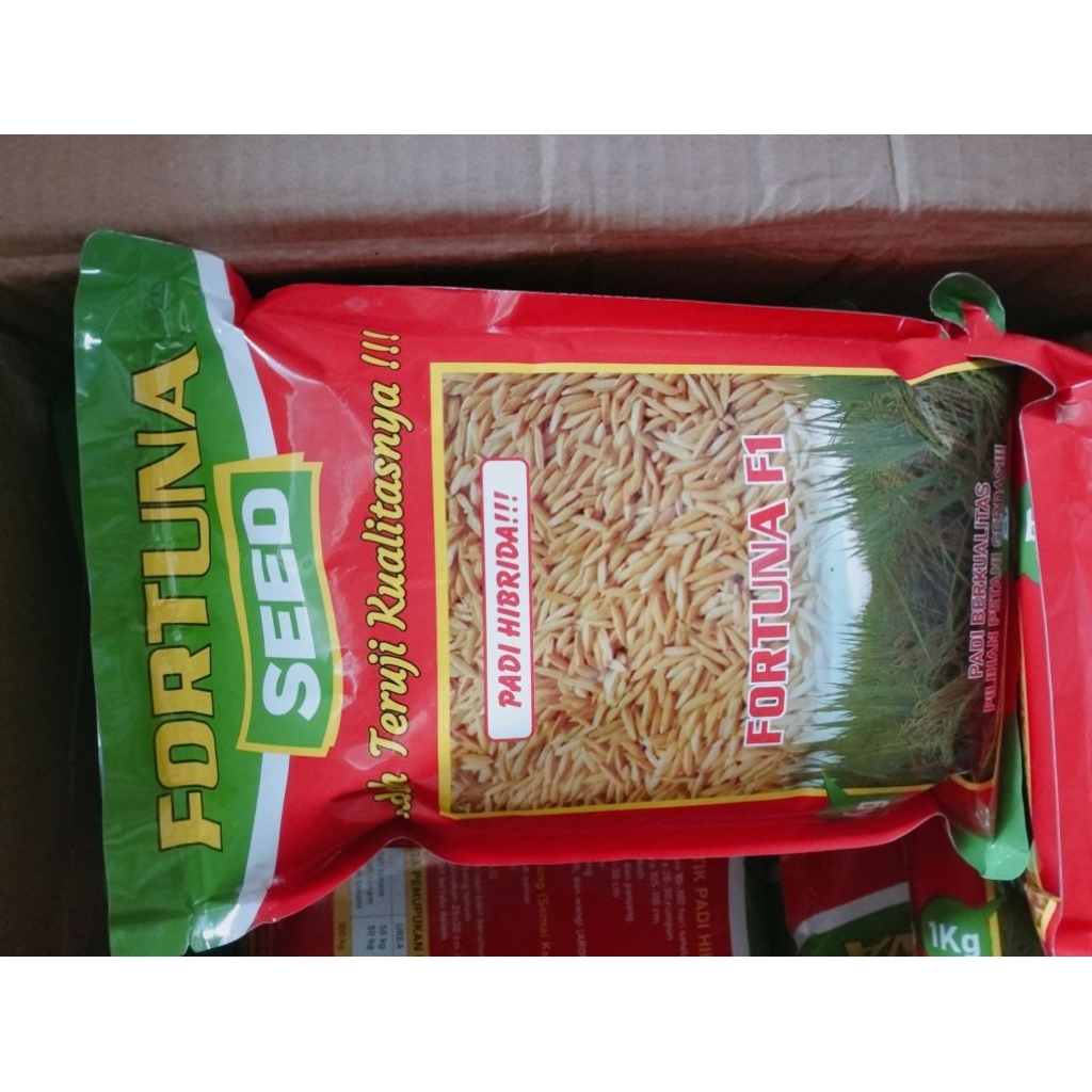 benih padi hibrida fortuna seed f1 original 100%