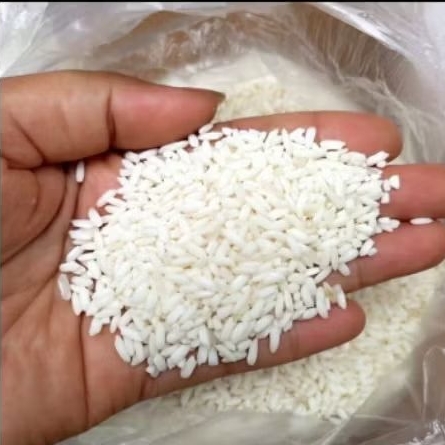 PADI KETAN PUTIH 1KG TERMURAH