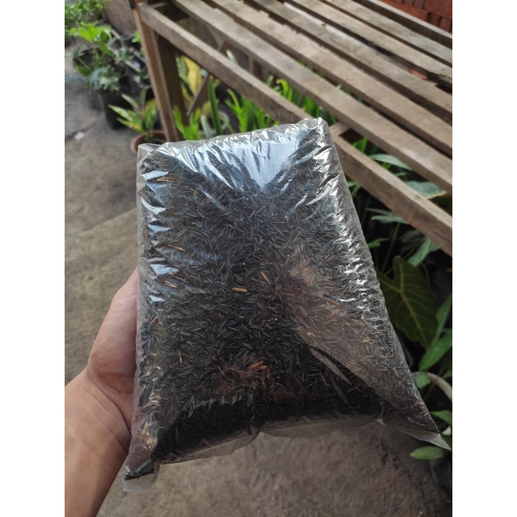 Sekam Bakar Murni – Media Tanam Sekam Bakar – Pupuk Organik Sekam Bakar