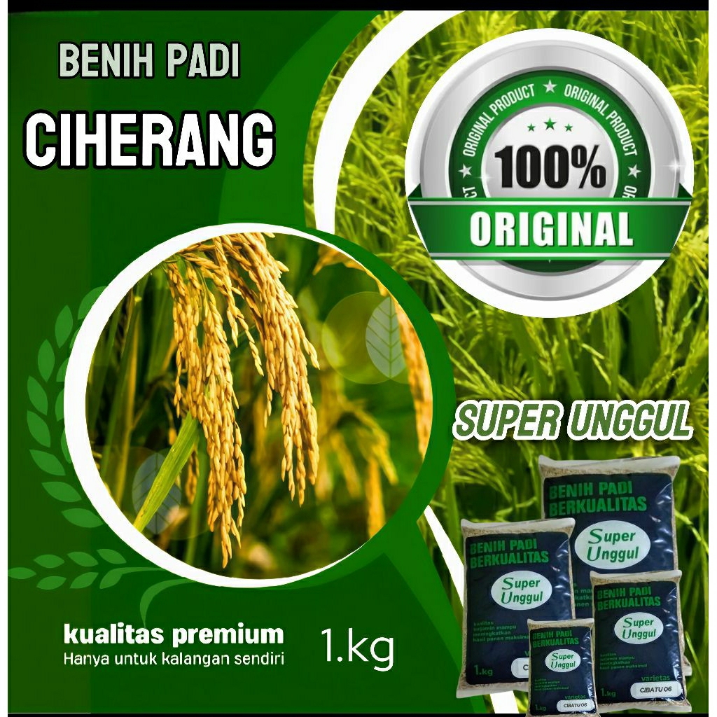 0benih bibit padi Ciherang super genjah kemasan 1kg