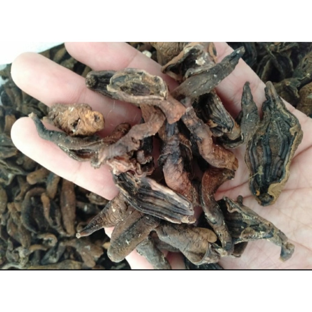 [ KERUPUK TERIPANG MENTAH 1000gr ] – Camilan Alami Tinggi Protein & Kolagen