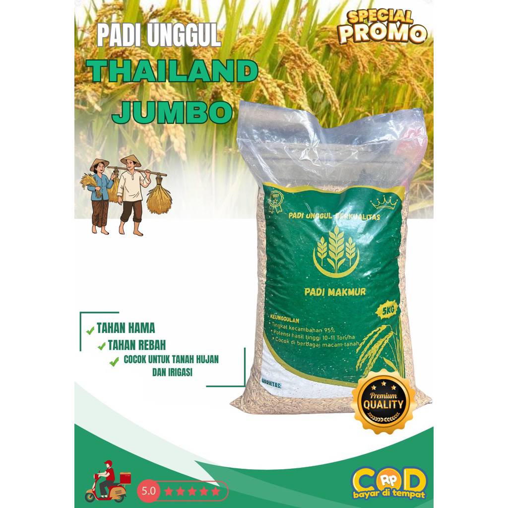 BENIH PADI BIBIT PADI THAILAND JUMBO KUALITAS UNGGUL KEMASAN 5 KG