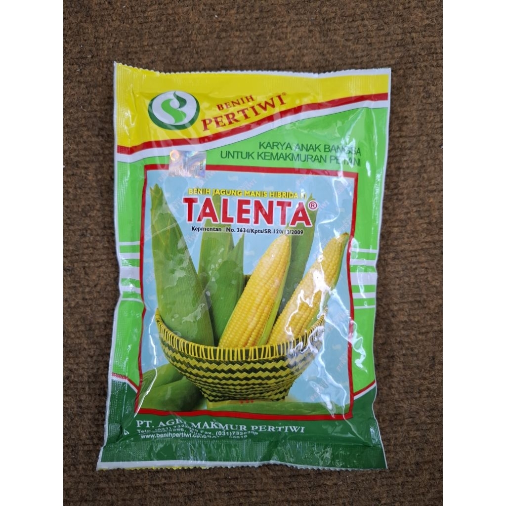 Benih Jagung Talenta F1
