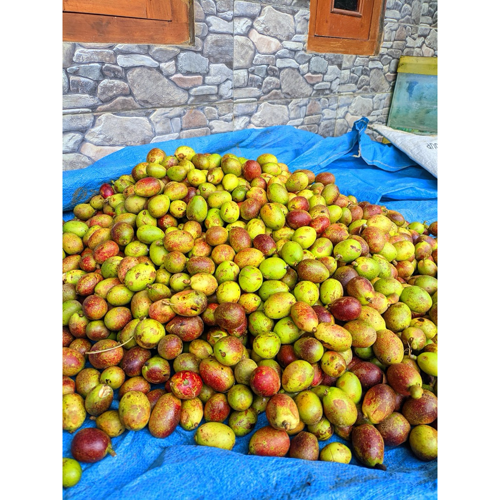 Buah Matoa Fresh 1kg
