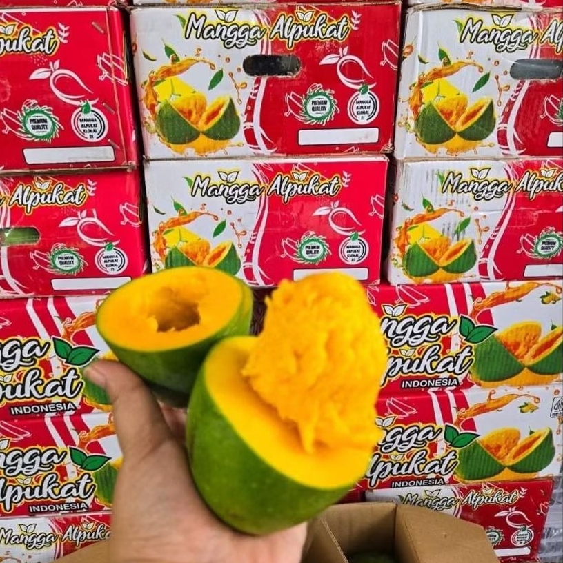 MANGGA ALPUKAT 1 DUS 5kg