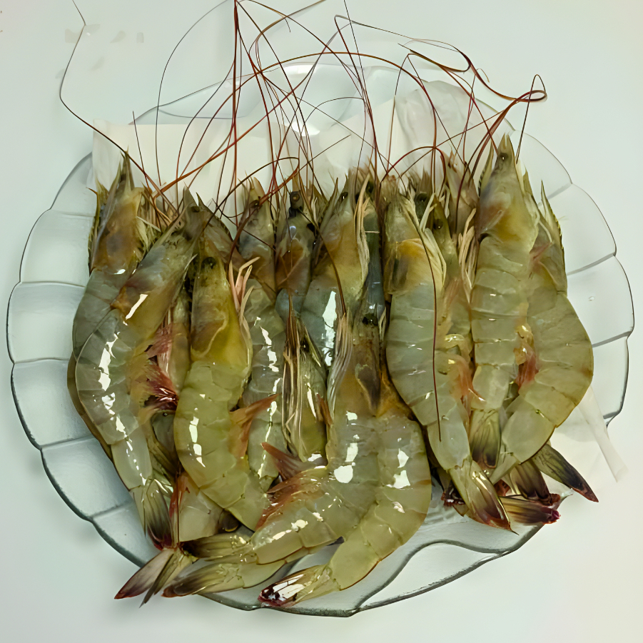 Udang Vaname Besar 1kg fresh Beku dari pesisir laut garut selatan Udang Segar Premium