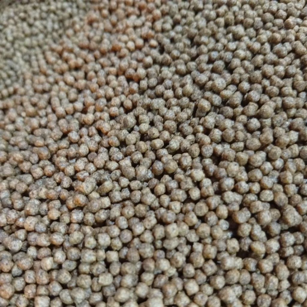 Pakan ikan LP2 untuk pakan nila, ikanmas, gurami, lele, betok, gabus dll