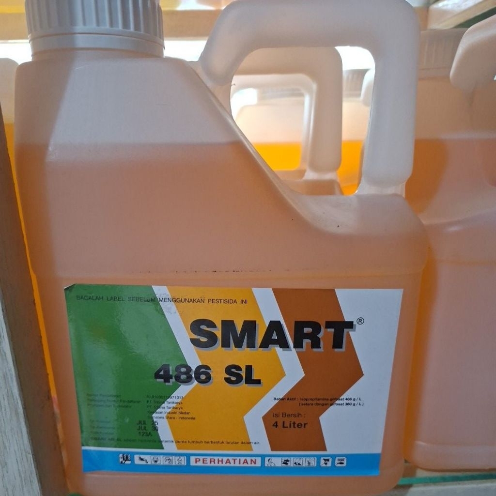 smart 4 liter 486sl