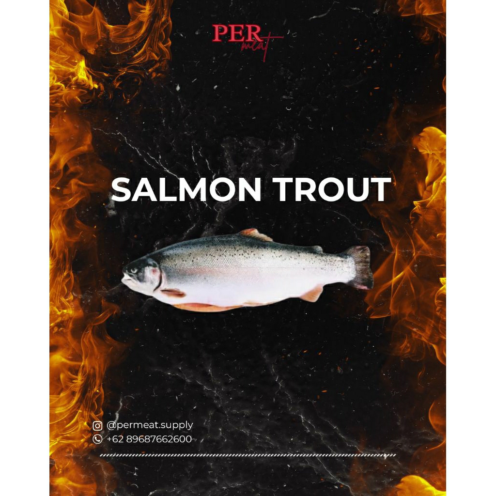 Salmon Trout Whole | Ikan Salmon Trout Utuh