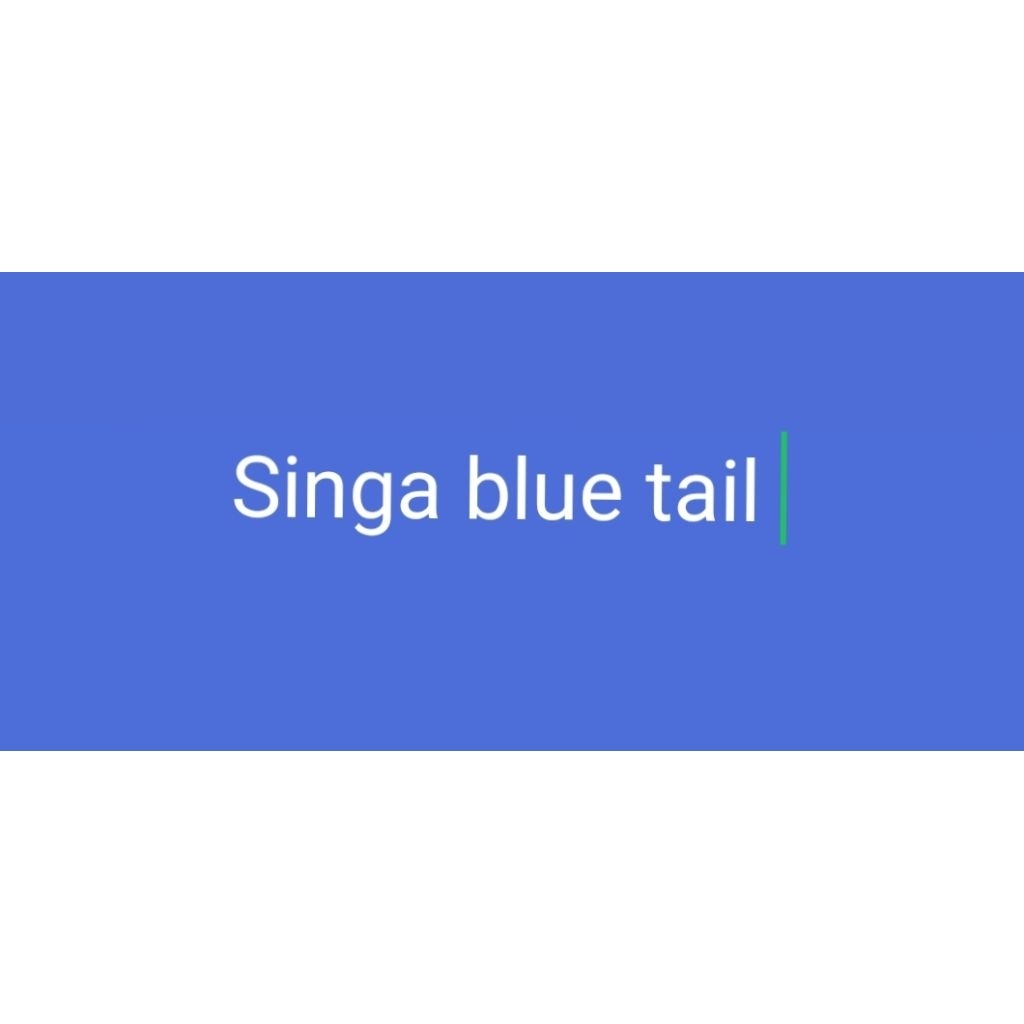 hiasan kamar singa blue tail
