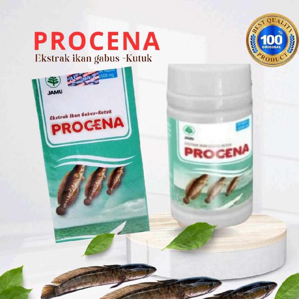 Procena Kapsul Herbal Ikan Gabus Halal MUI & BPOM Aman Di Konsumsi Untuk Penyembuhan Luka Pasca Oper