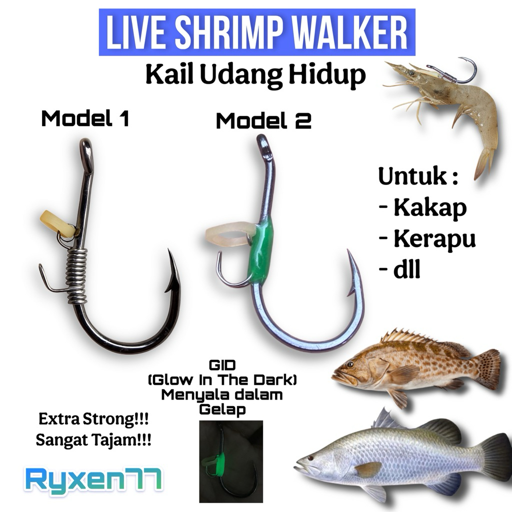 PROMO STOK TERBATAS BURUAN Kail Udang hidup Kakap putih kerapu Baramundi mangrove jack