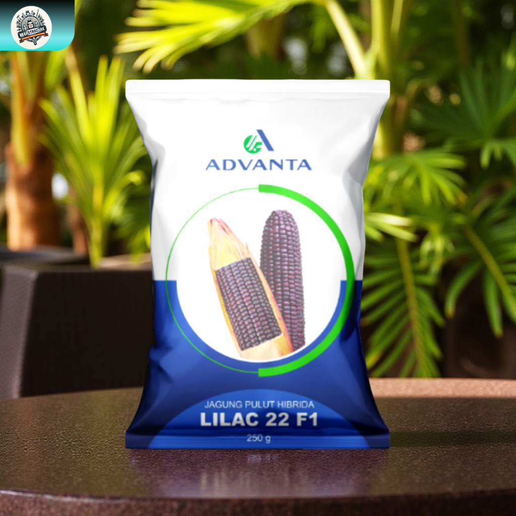 Benih Jagung Pulut Ungu Hibrida Lilac 22 F1 Advanta 250gr – Bibit Jagung Ketan Ungu Manis, Produktif