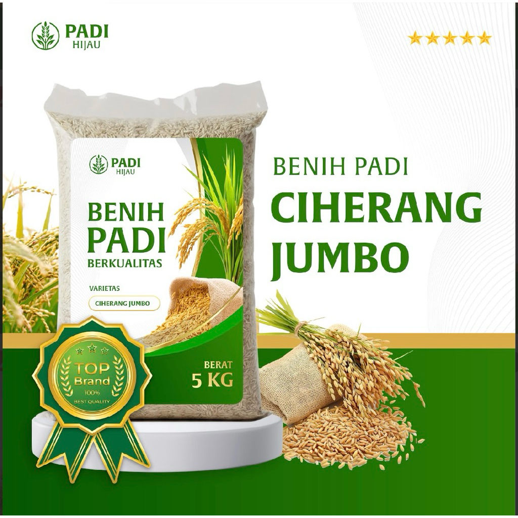 BENIH PADI BIBIT PADI CIHERANG JUMBO KUALITAS UNGGUL KEMASAN 5 KG