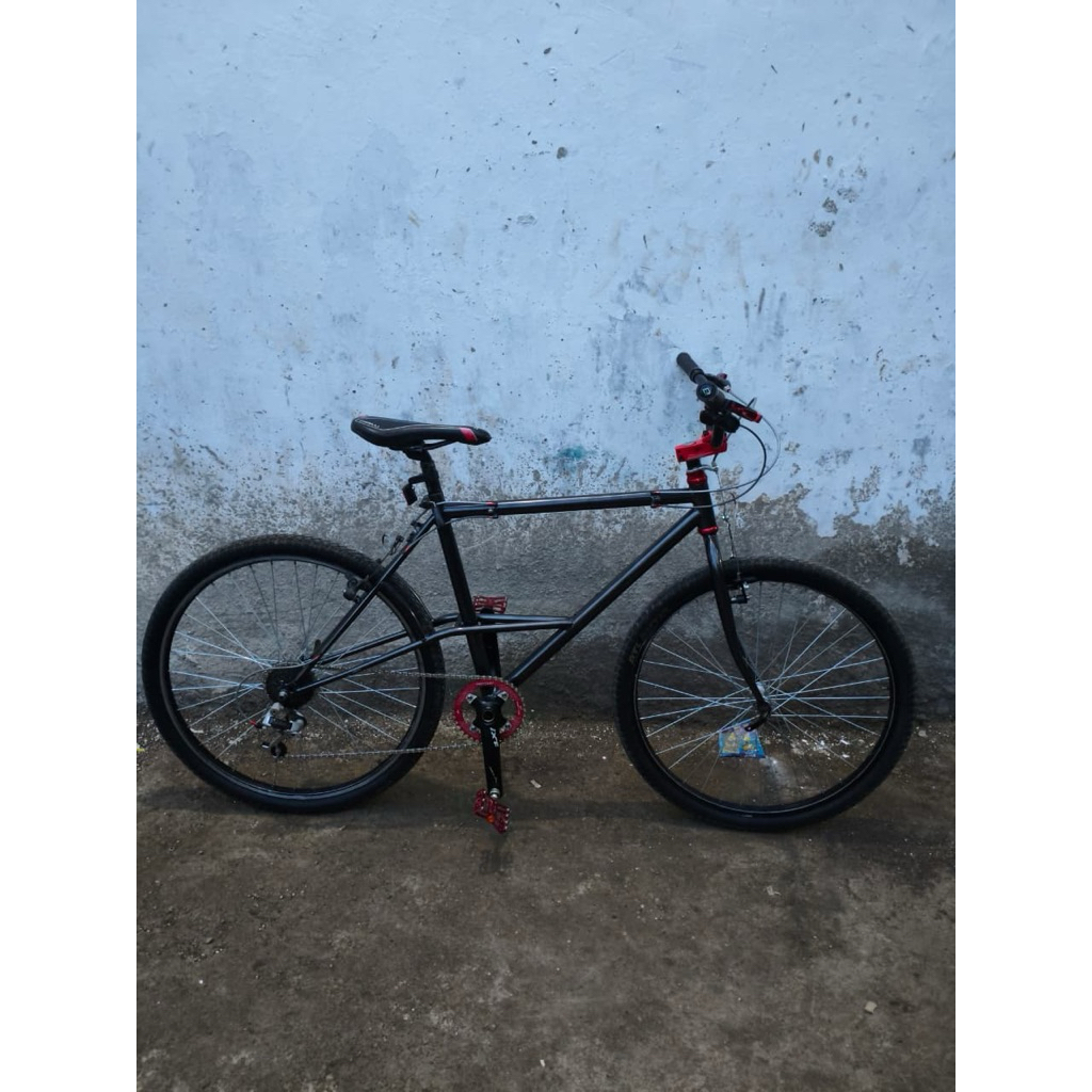 SEPEDA Toyo Asahi