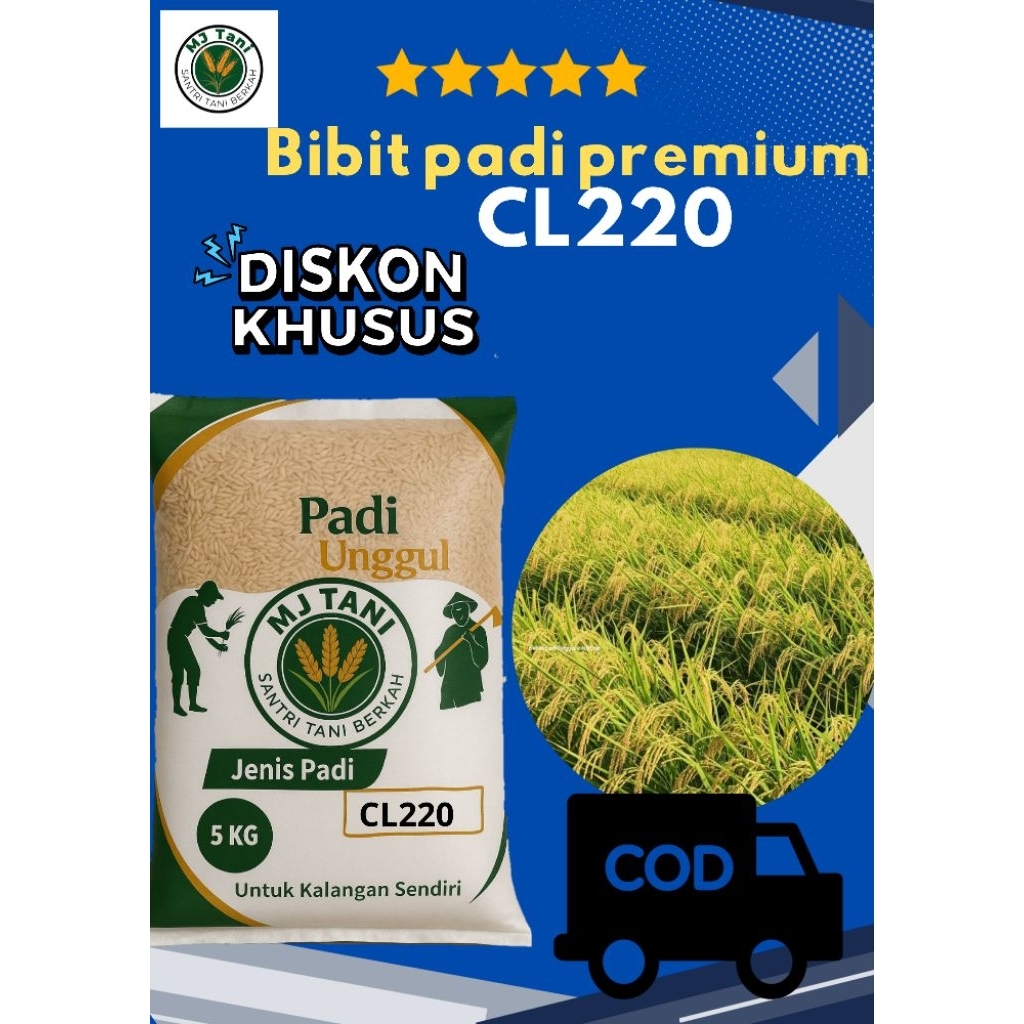 bibit padi unggul CL220 ORIGINAL 5KG
