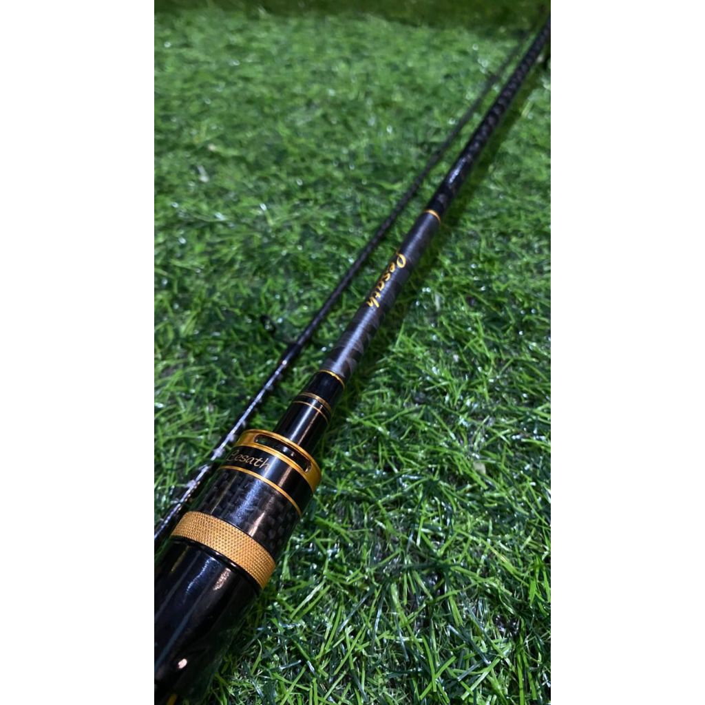 JORAN SHIMANO LESATH GSI CUSTOME BLACK EDITION 10-20LB 183cm