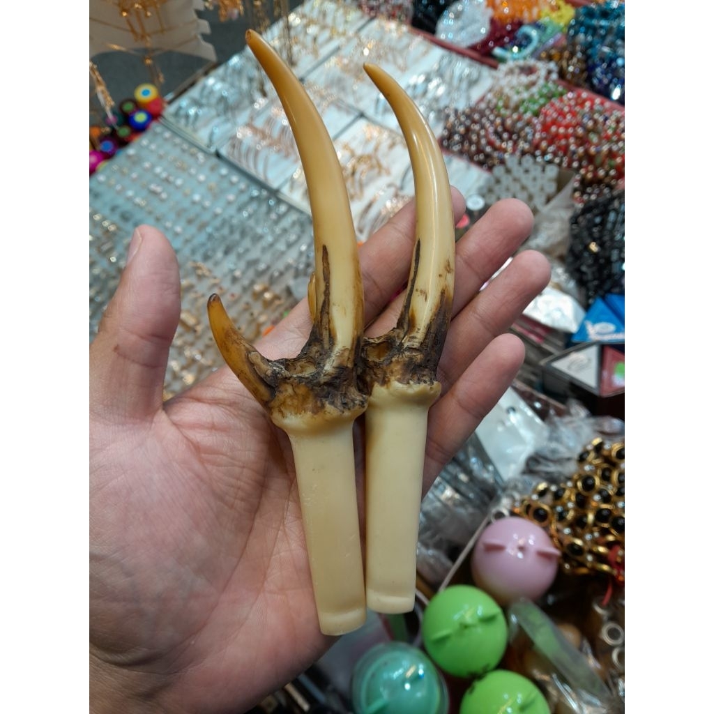 Ampirono_Mriki Pipa Menjangan ,Once Menjangan ,Once Alami ,Pipa Tanduk Menjanganbahan Gagang Keris