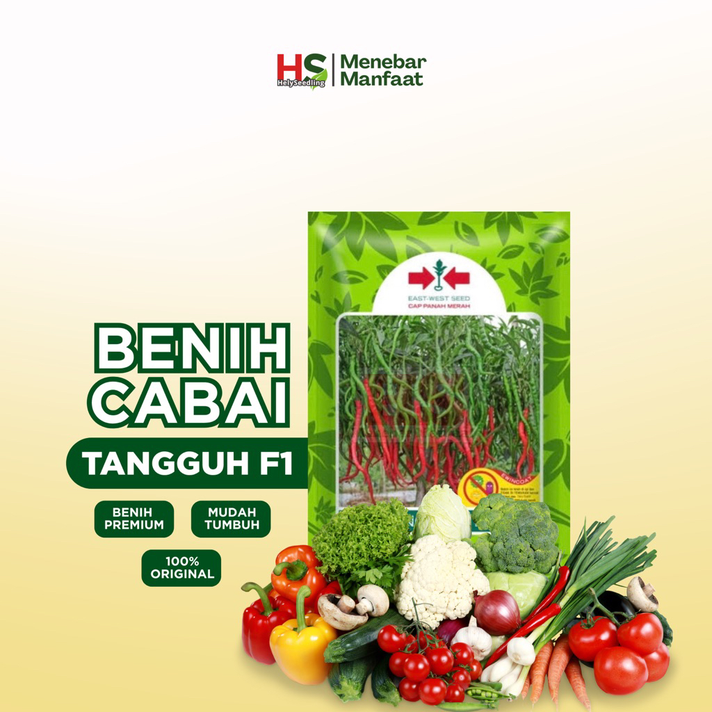 Cabai Tangguh F1 - Cap Panah Merah (ORIGINAL)