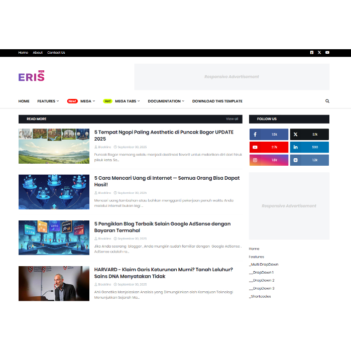 Tema Blogger Blogspot Profesional ERIS | Desain Elegan | Support Adsense