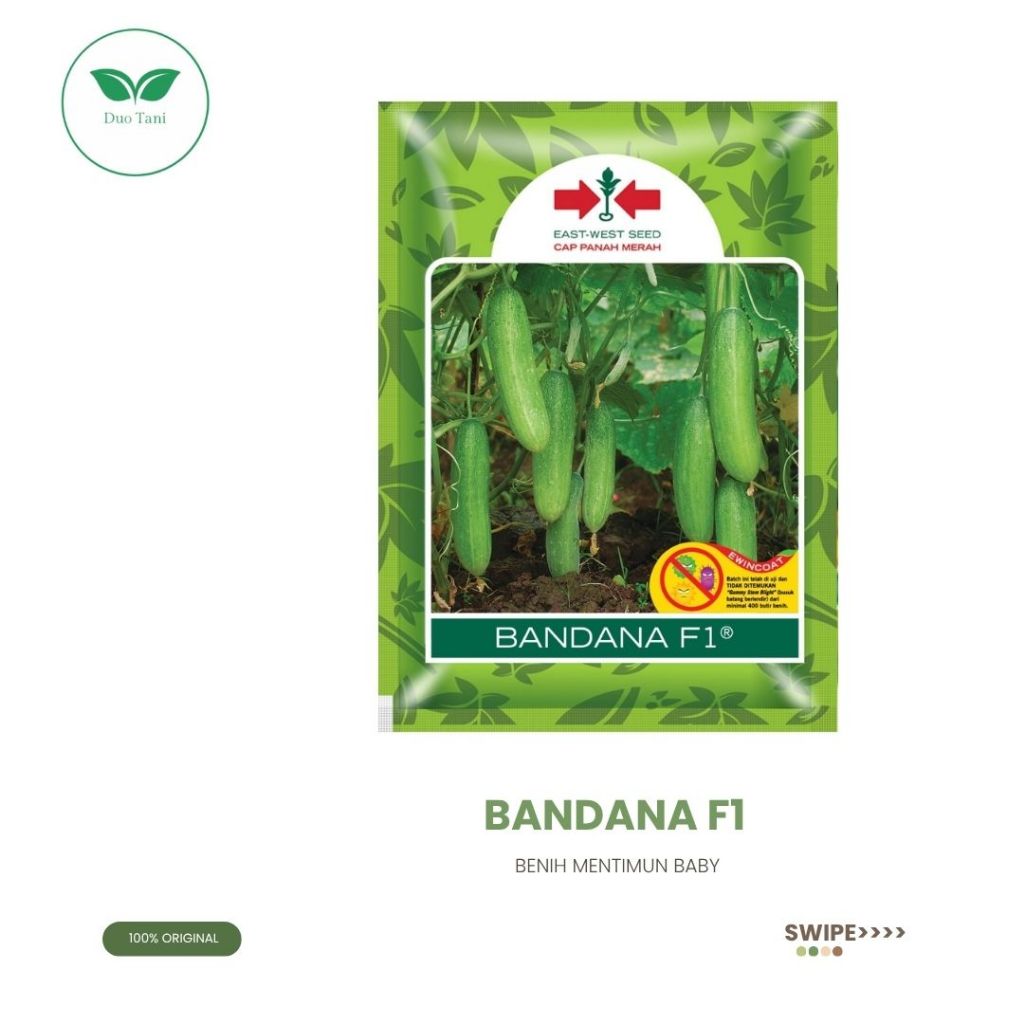 Benih Mentimun Baby Bandana F1 Cap Panah Merah 800 Butir