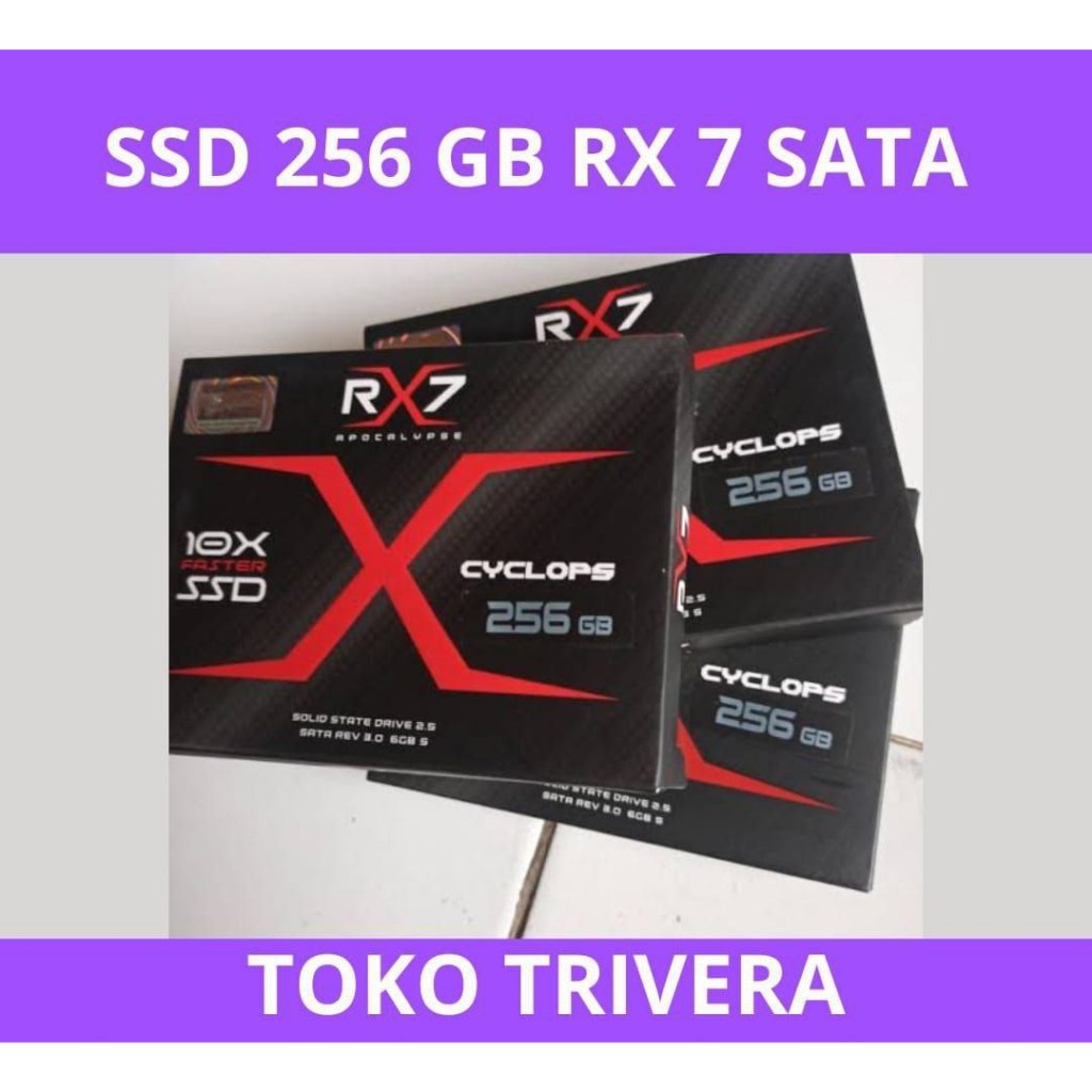 Ssd 256 Gb Rx7 Sata