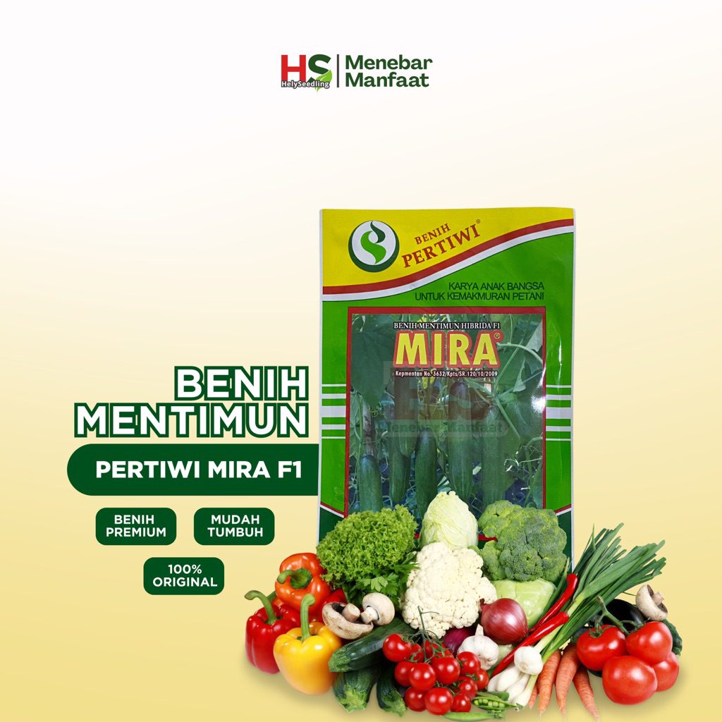 Mentimun - Timun Mira F1 Pertiwi (ORIGINAL)
