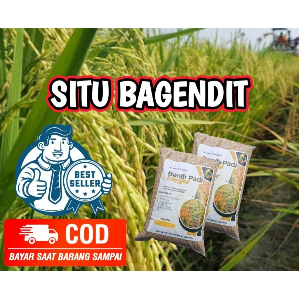 (5KG) BENIH PADI SITU BAGENDIT